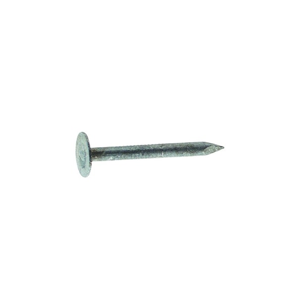 Grip-Rite Common Nail, 2 in L, 6D, Steel, Electro Galvanized Finish, 11 ga 2EGRFG - main